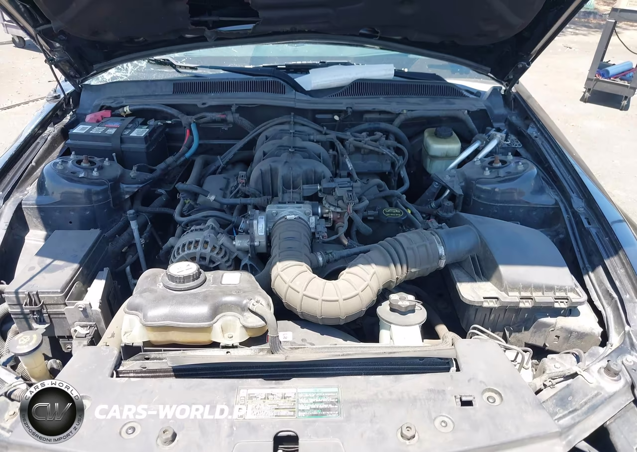 2006 Ford Mustang V6 VIN:1ZVFT80N565123197 - 10