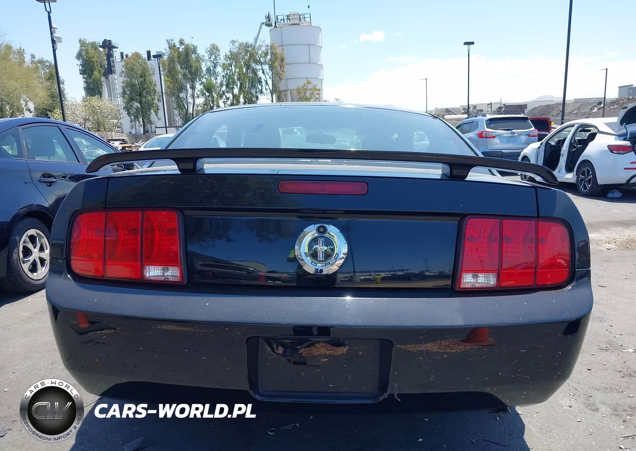 2006 Ford Mustang V6 VIN:1ZVFT80N565123197 - 12