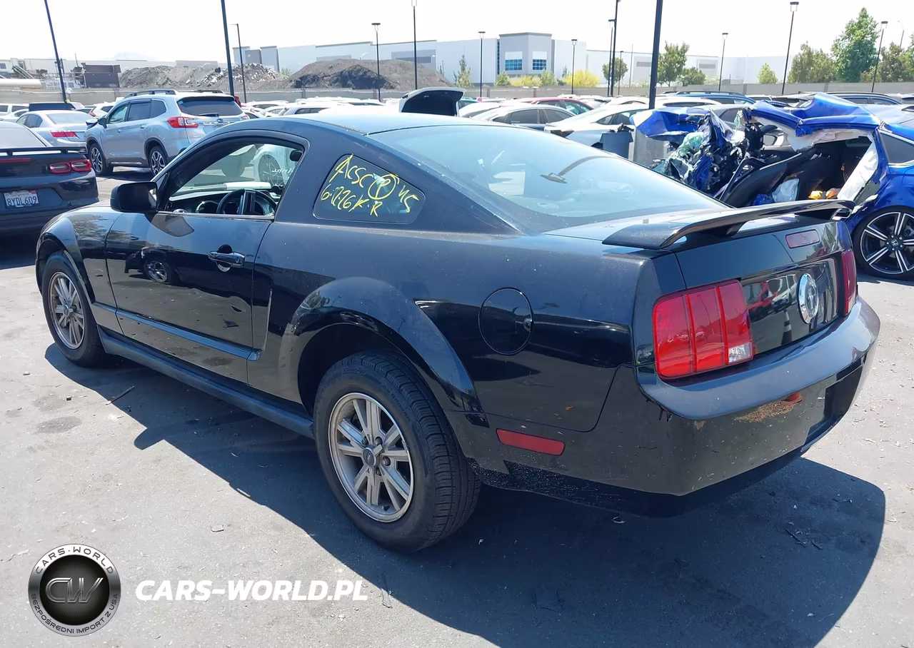 2006 Ford Mustang V6 VIN:1ZVFT80N565123197 - 3