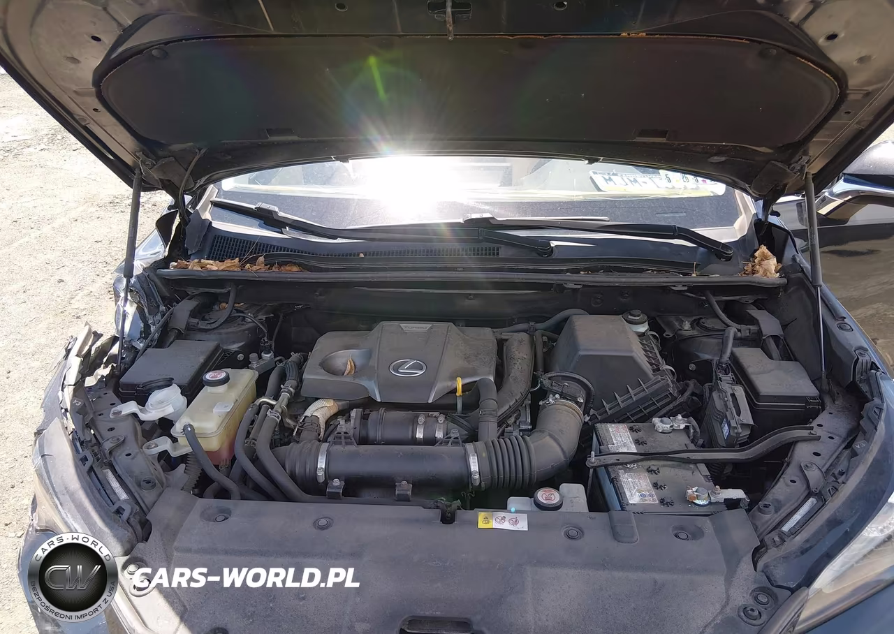 2018 Lexus Nx 300 VIN:JTJBARBZ5J2150596 - 10