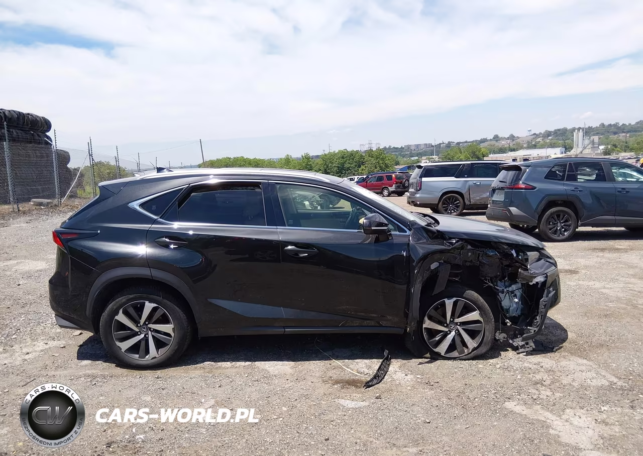 2018 Lexus Nx 300 VIN:JTJBARBZ5J2150596 - 13