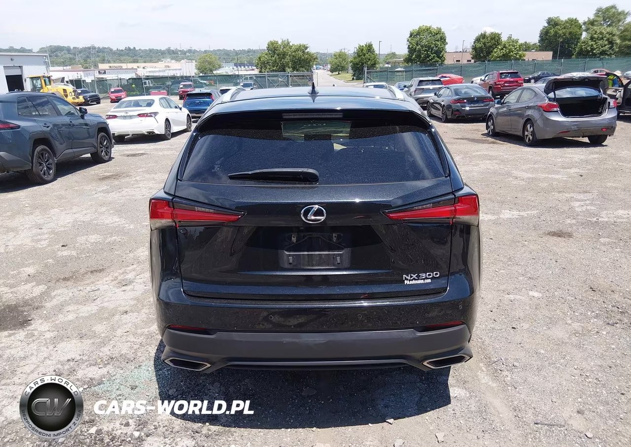 2018 Lexus Nx 300 VIN:JTJBARBZ5J2150596 - 16