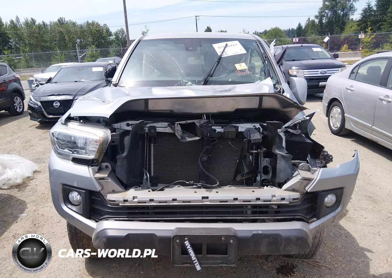 2019 Toyota Tacoma Trd Off Road VIN:5TFCZ5AN8KX208020 - 12
