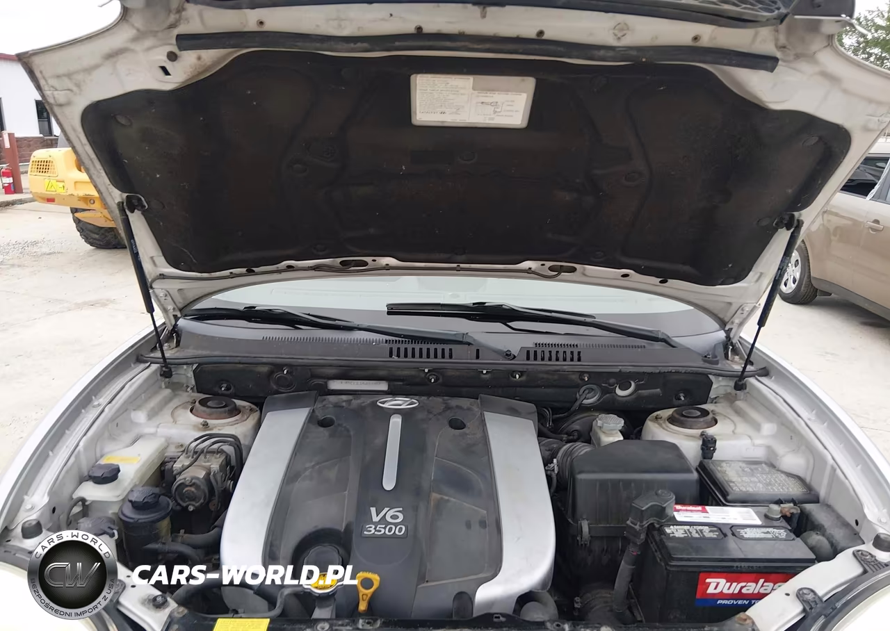2004 Hyundai Santa Fe Gls-Lx VIN:KM8SC13E14U651452 - 10
