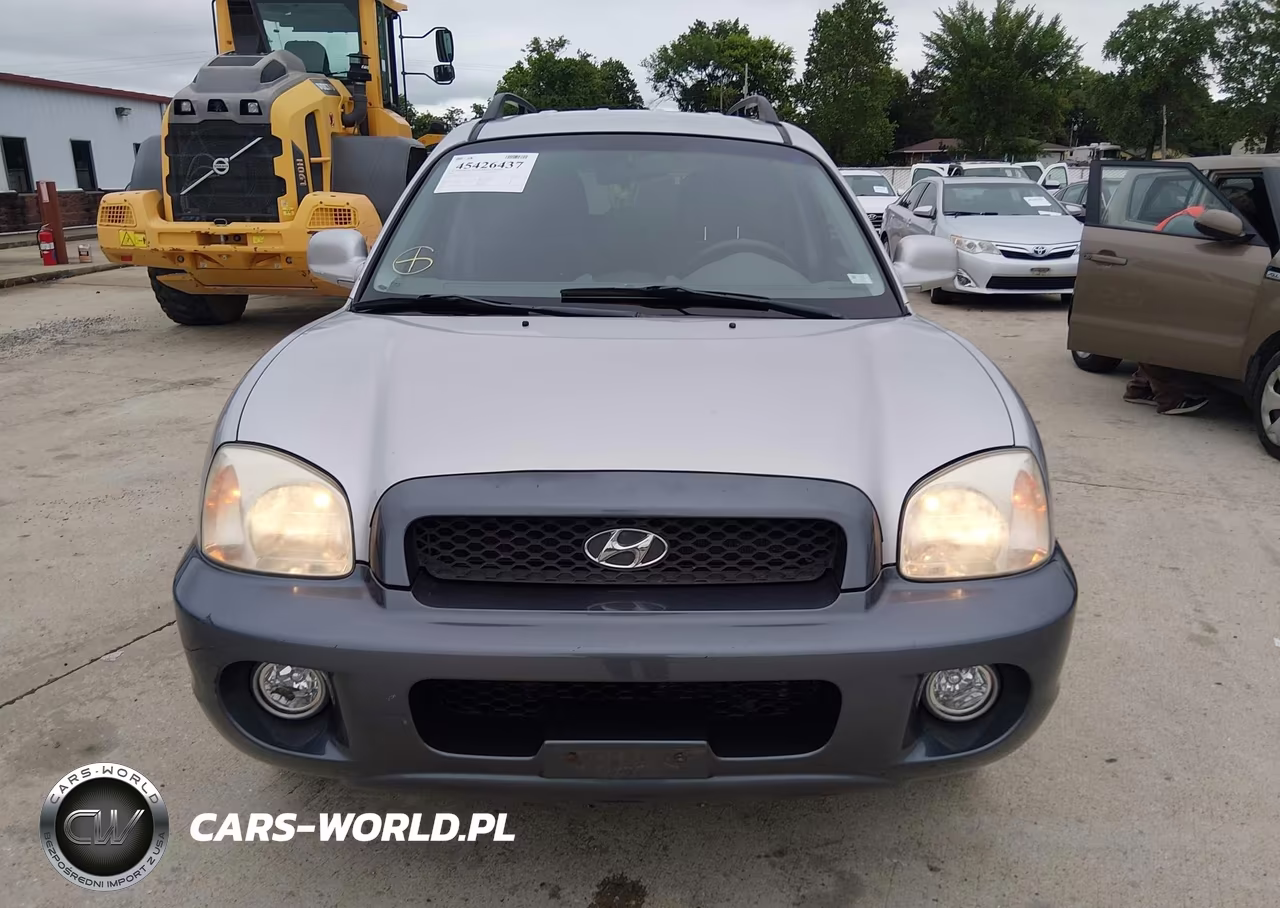 2004 Hyundai Santa Fe Gls-Lx VIN:KM8SC13E14U651452 - 12