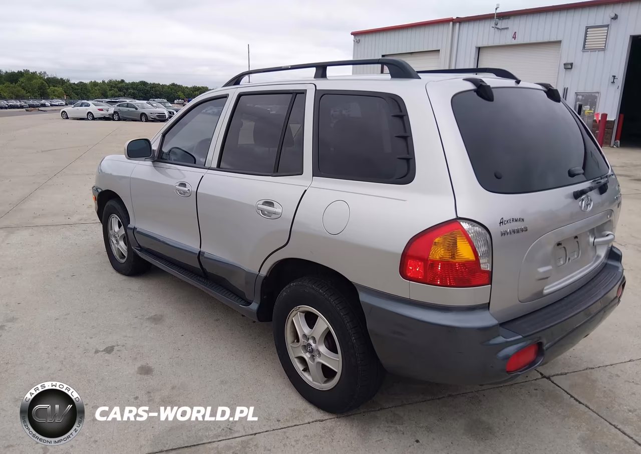 2004 Hyundai Santa Fe Gls-Lx VIN:KM8SC13E14U651452 - 3