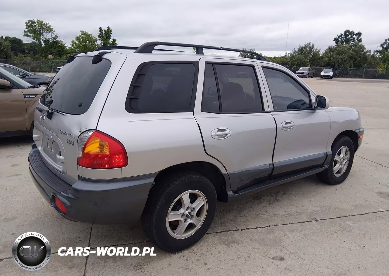 2004 Hyundai Santa Fe Gls-Lx VIN:KM8SC13E14U651452 - 4