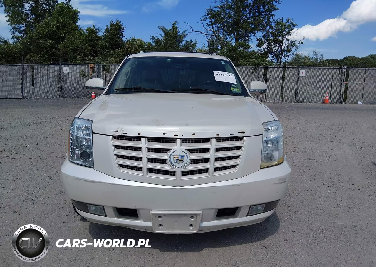 2013 Cadillac Escalade Luxury VIN:1GYS4BEF9DR144986 - 12