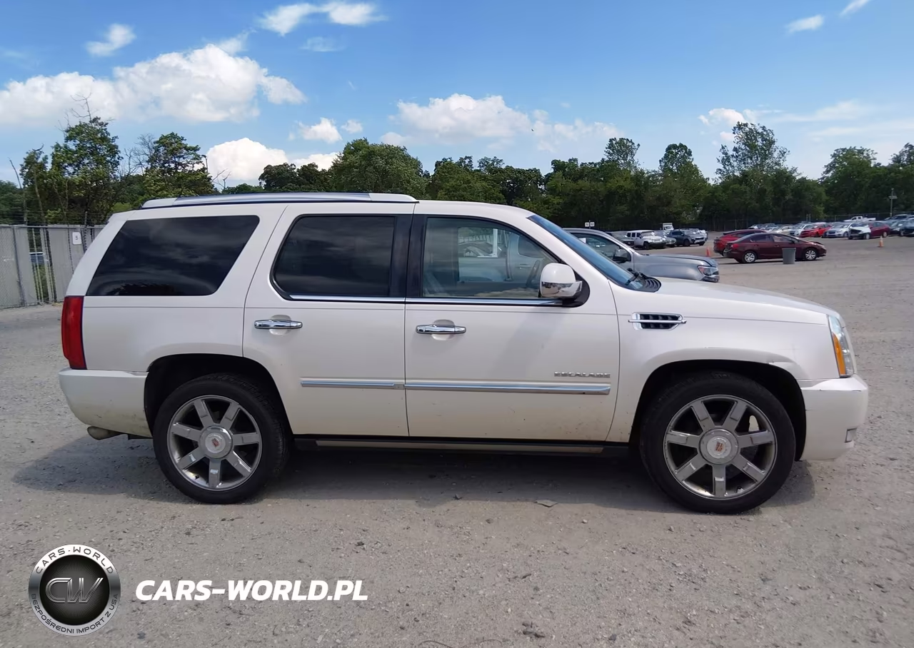 2013 Cadillac Escalade Luxury VIN:1GYS4BEF9DR144986 - 13