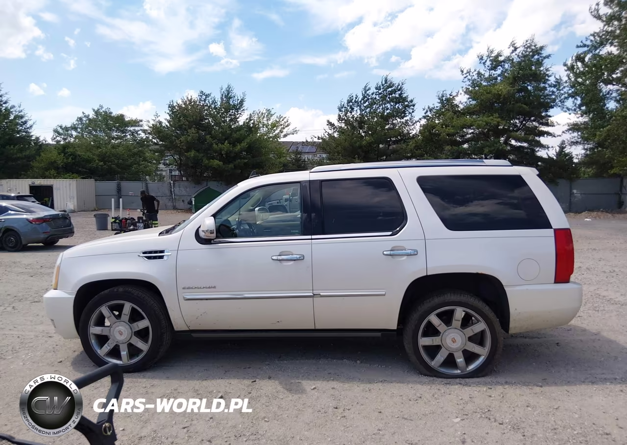 2013 Cadillac Escalade Luxury VIN:1GYS4BEF9DR144986 - 14