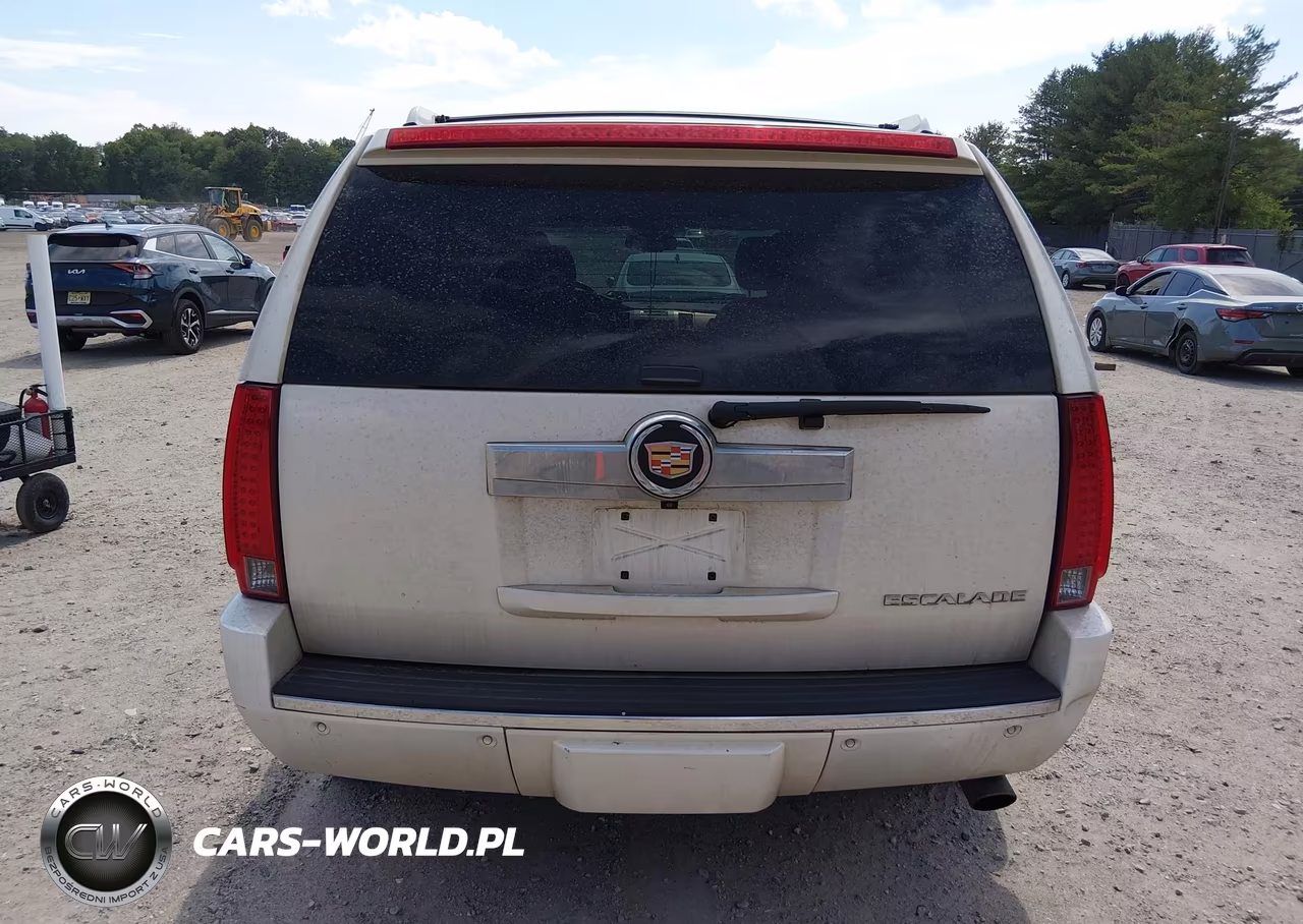 2013 Cadillac Escalade Luxury VIN:1GYS4BEF9DR144986 - 16