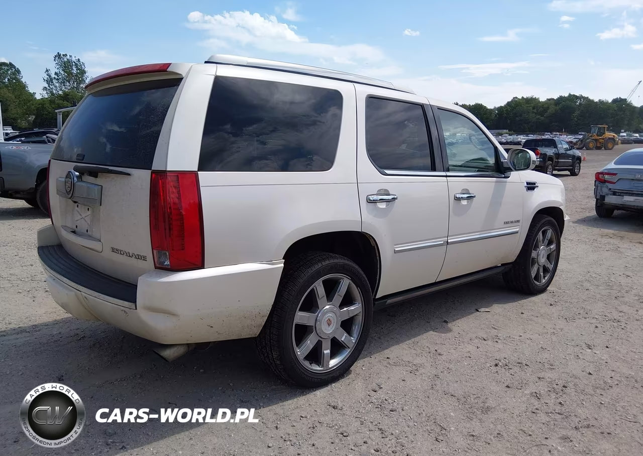 2013 Cadillac Escalade Luxury VIN:1GYS4BEF9DR144986 - 4