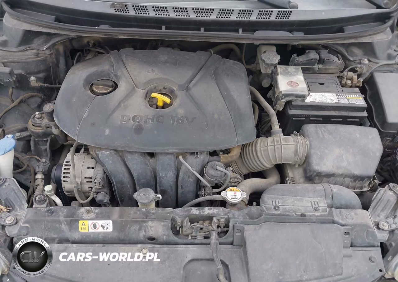 2013 Hyundai Elantra Gls VIN:5NPDH4AE5DH445273 - 10