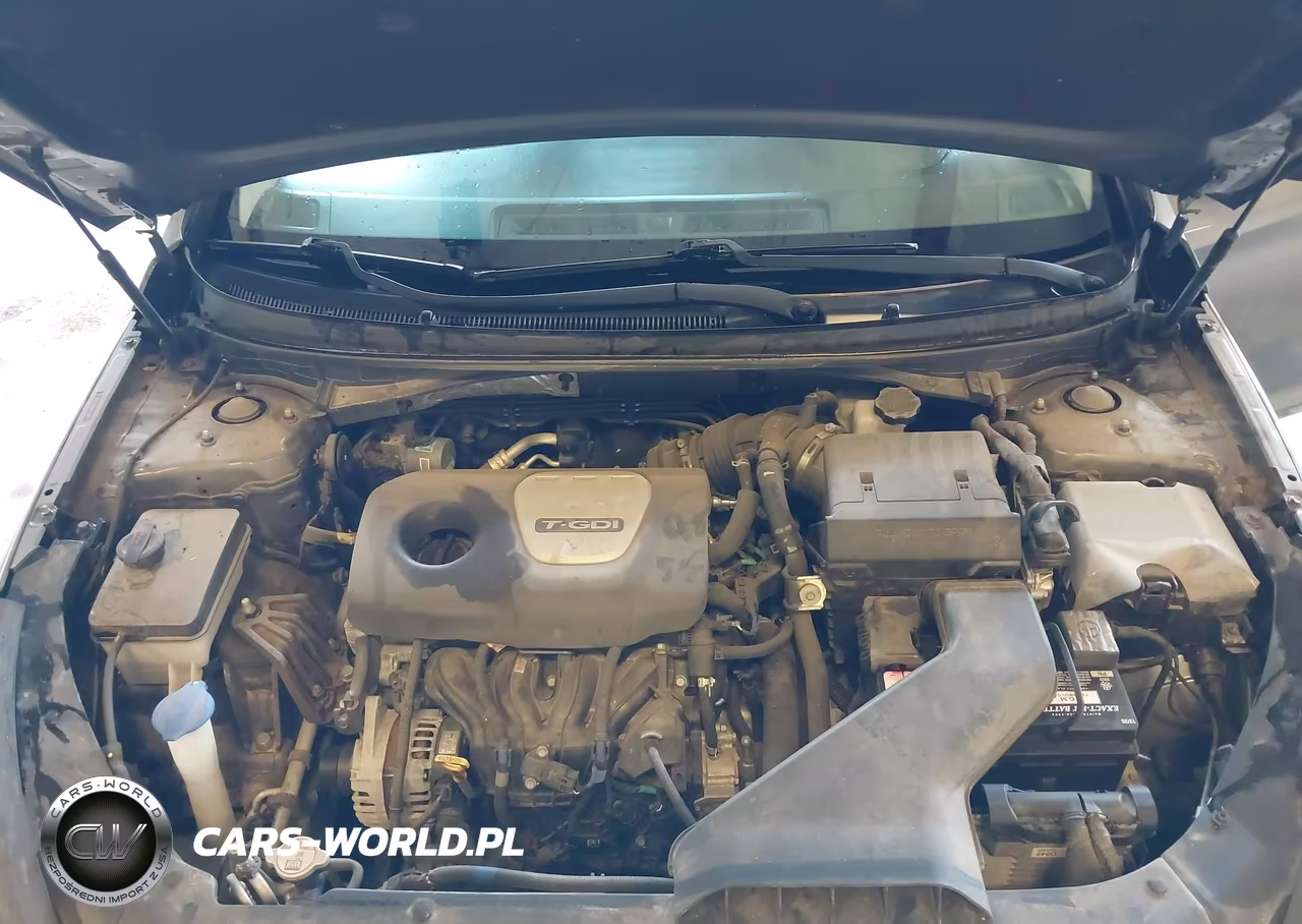 2019 Hyundai Sonata Eco VIN:5NPE24AA3KH773954 - 10