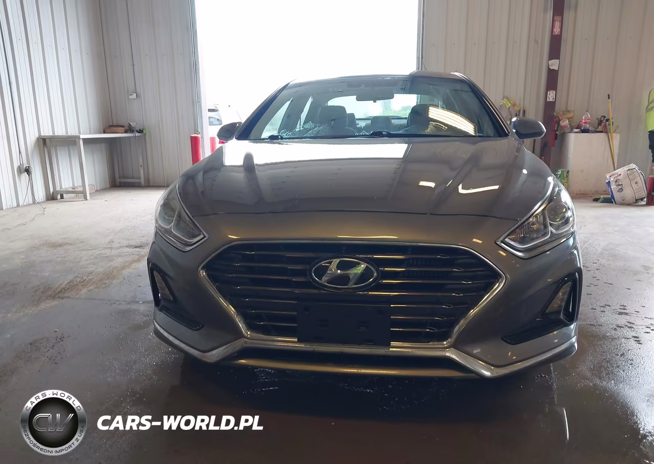 2019 Hyundai Sonata Eco VIN:5NPE24AA3KH773954 - 12
