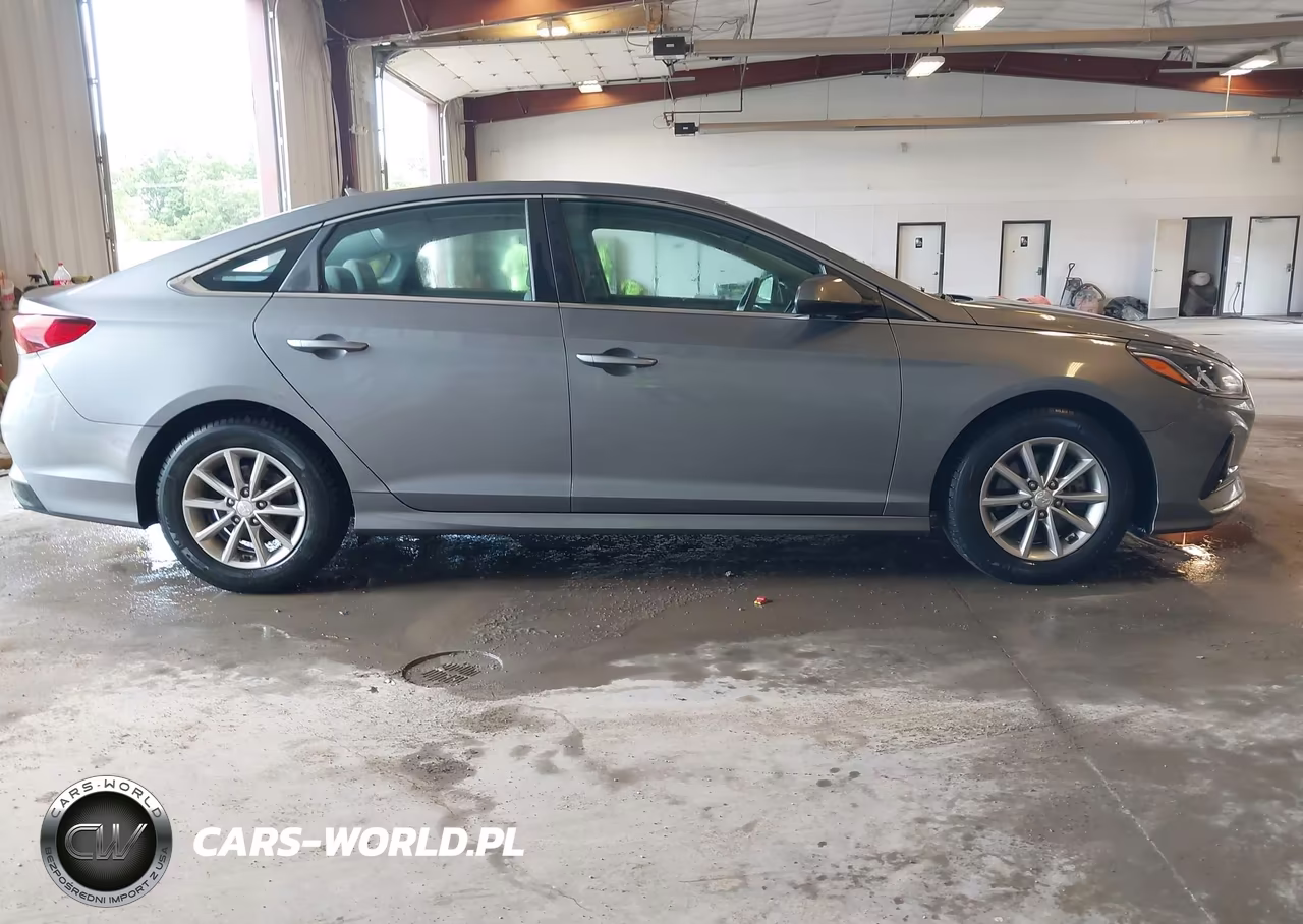 2019 Hyundai Sonata Eco VIN:5NPE24AA3KH773954 - 13