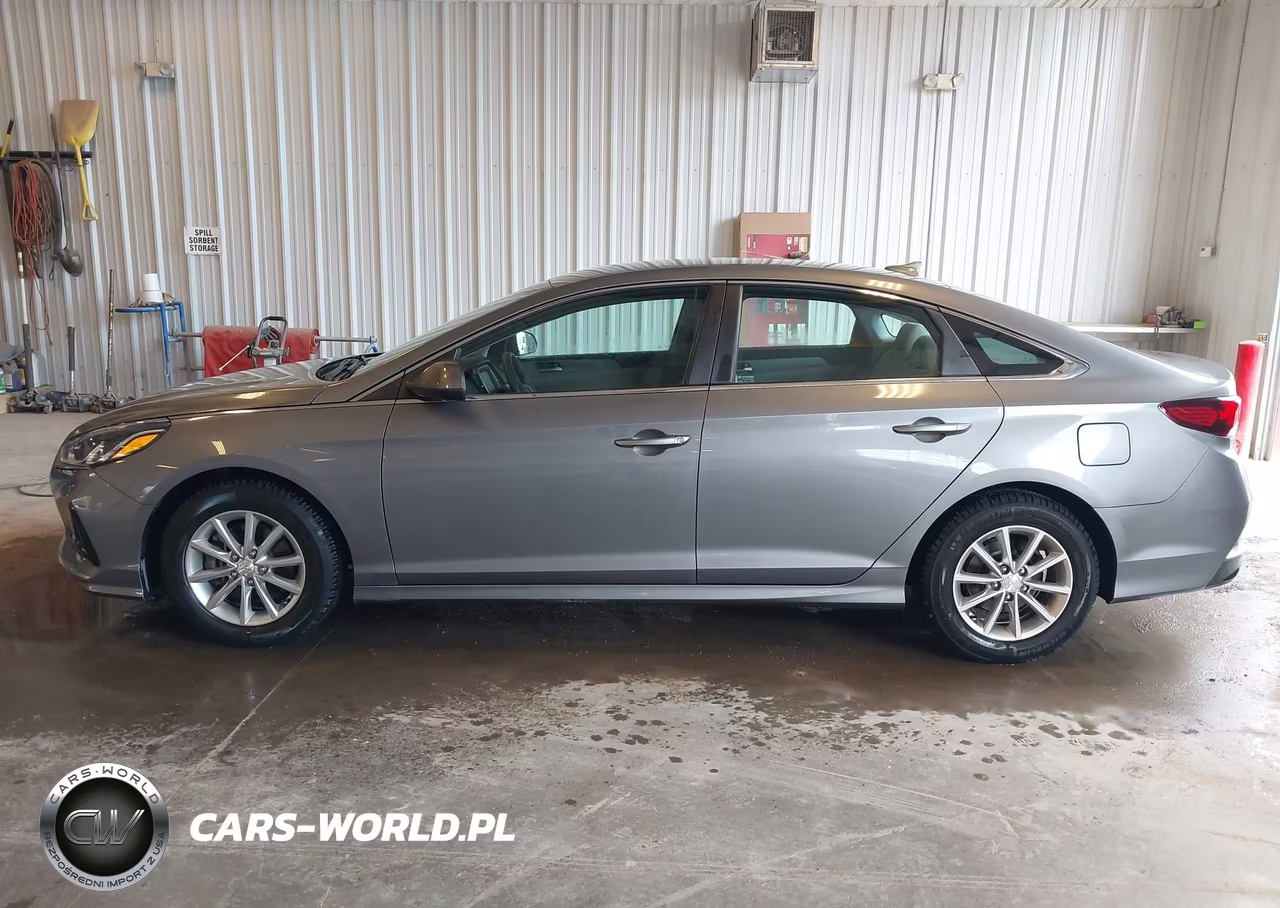 2019 Hyundai Sonata Eco VIN:5NPE24AA3KH773954 - 14