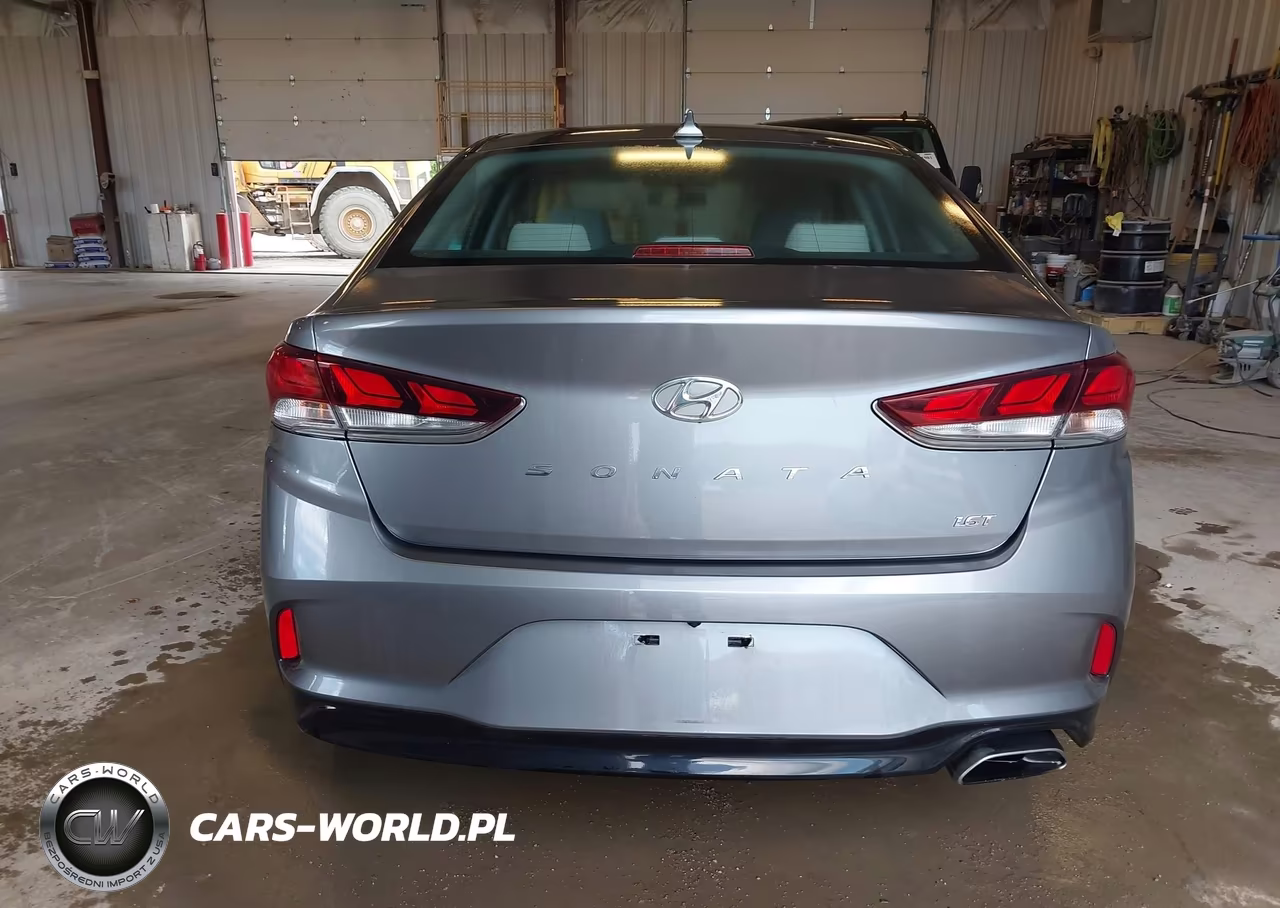 2019 Hyundai Sonata Eco VIN:5NPE24AA3KH773954 - 16