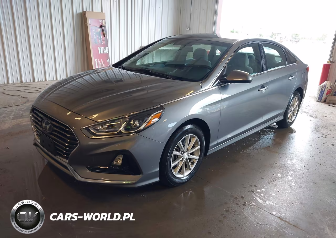 2019 Hyundai Sonata Eco VIN:5NPE24AA3KH773954 - 2