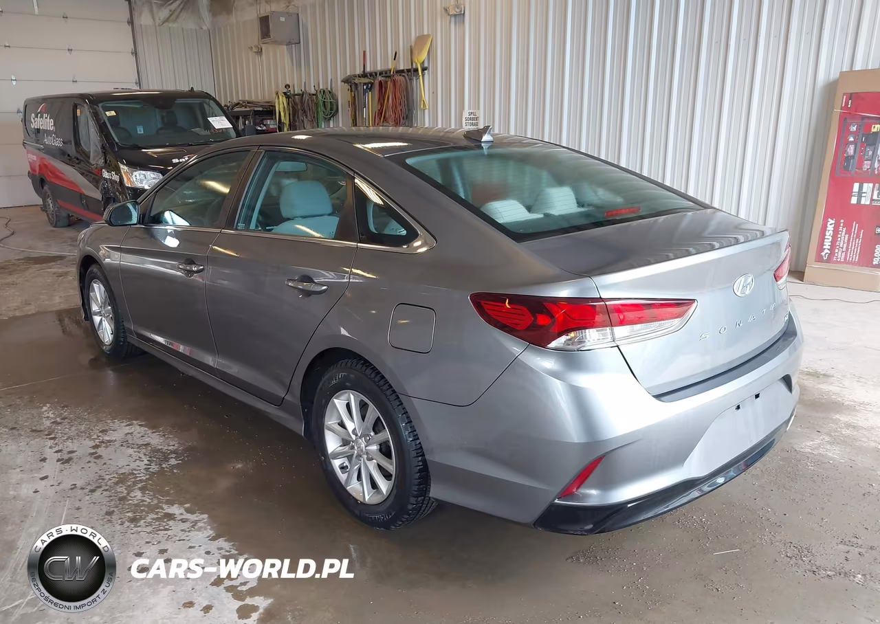 2019 Hyundai Sonata Eco VIN:5NPE24AA3KH773954 - 3