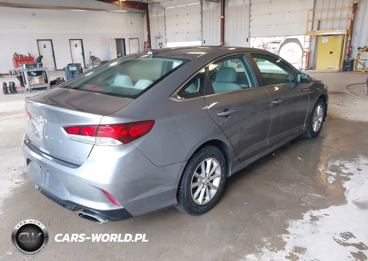 2019 Hyundai Sonata Eco VIN:5NPE24AA3KH773954 - 4