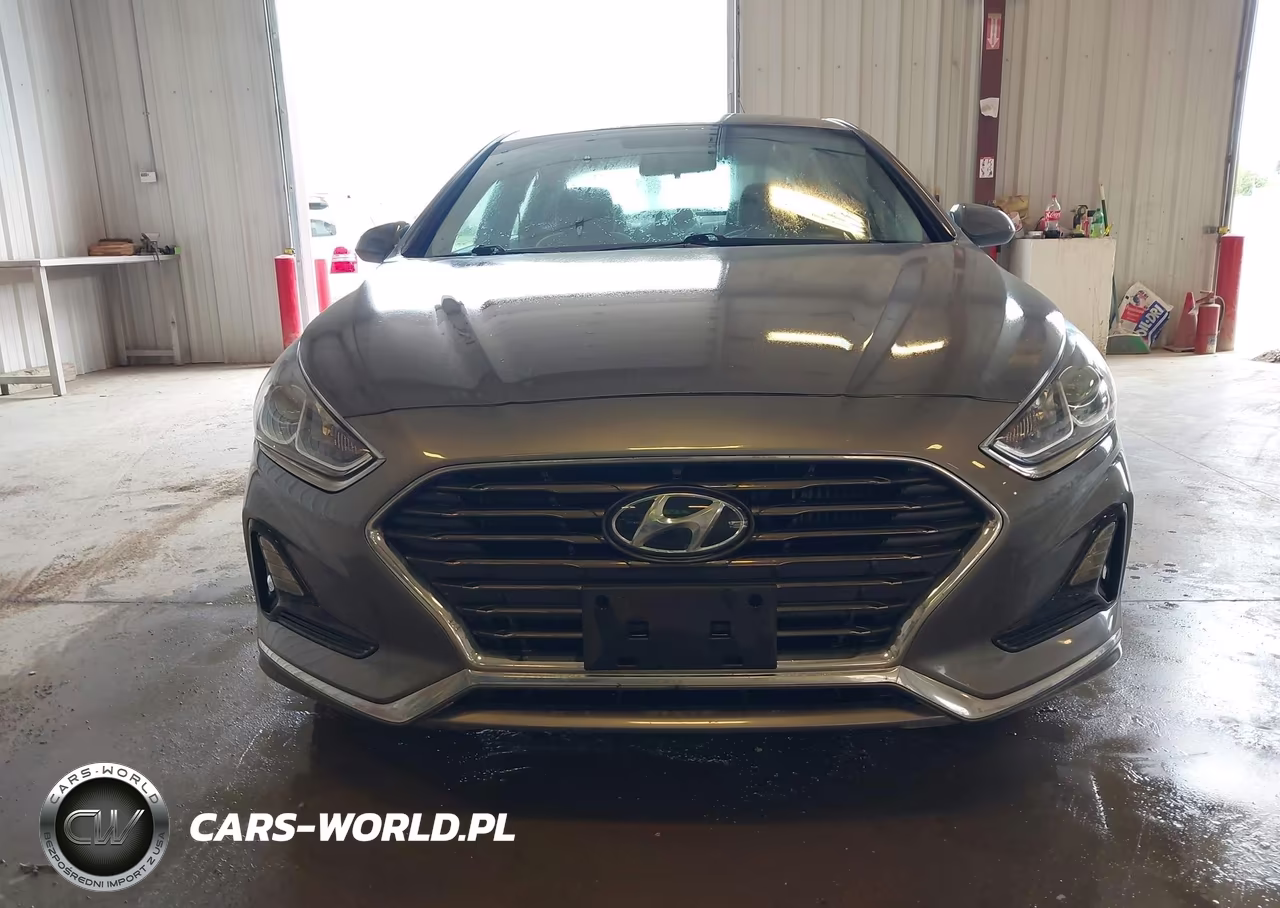 2019 Hyundai Sonata Eco VIN:5NPE24AA3KH773954 - 6