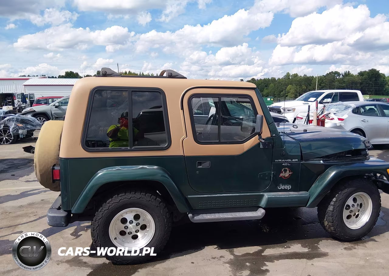 1999 Jeep Wrangler Sahara VIN:1J4FY49S1XP435782 - 13