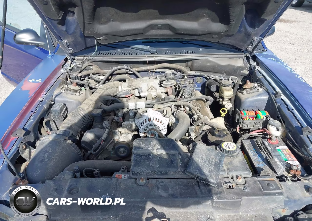 2004 Ford Mustang Gt VIN:1FAFP45X24F124976 - 10