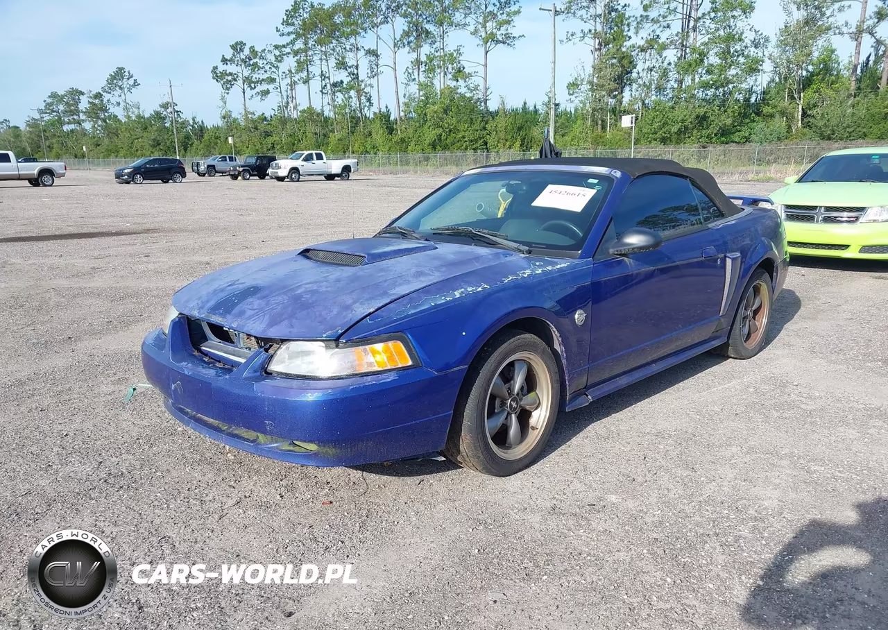 2004 Ford Mustang Gt VIN:1FAFP45X24F124976 - 2