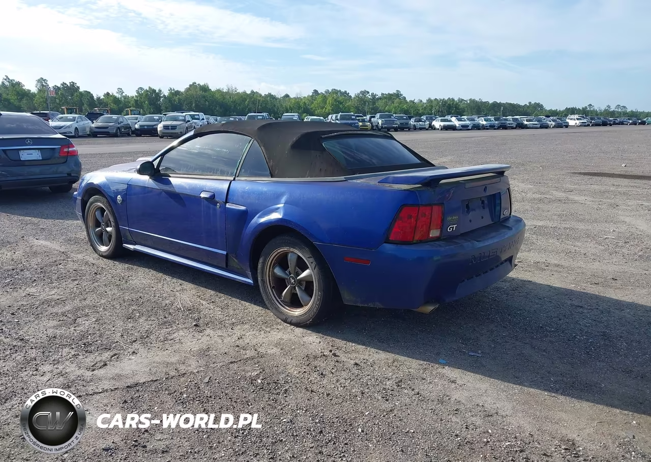 2004 Ford Mustang Gt VIN:1FAFP45X24F124976 - 3