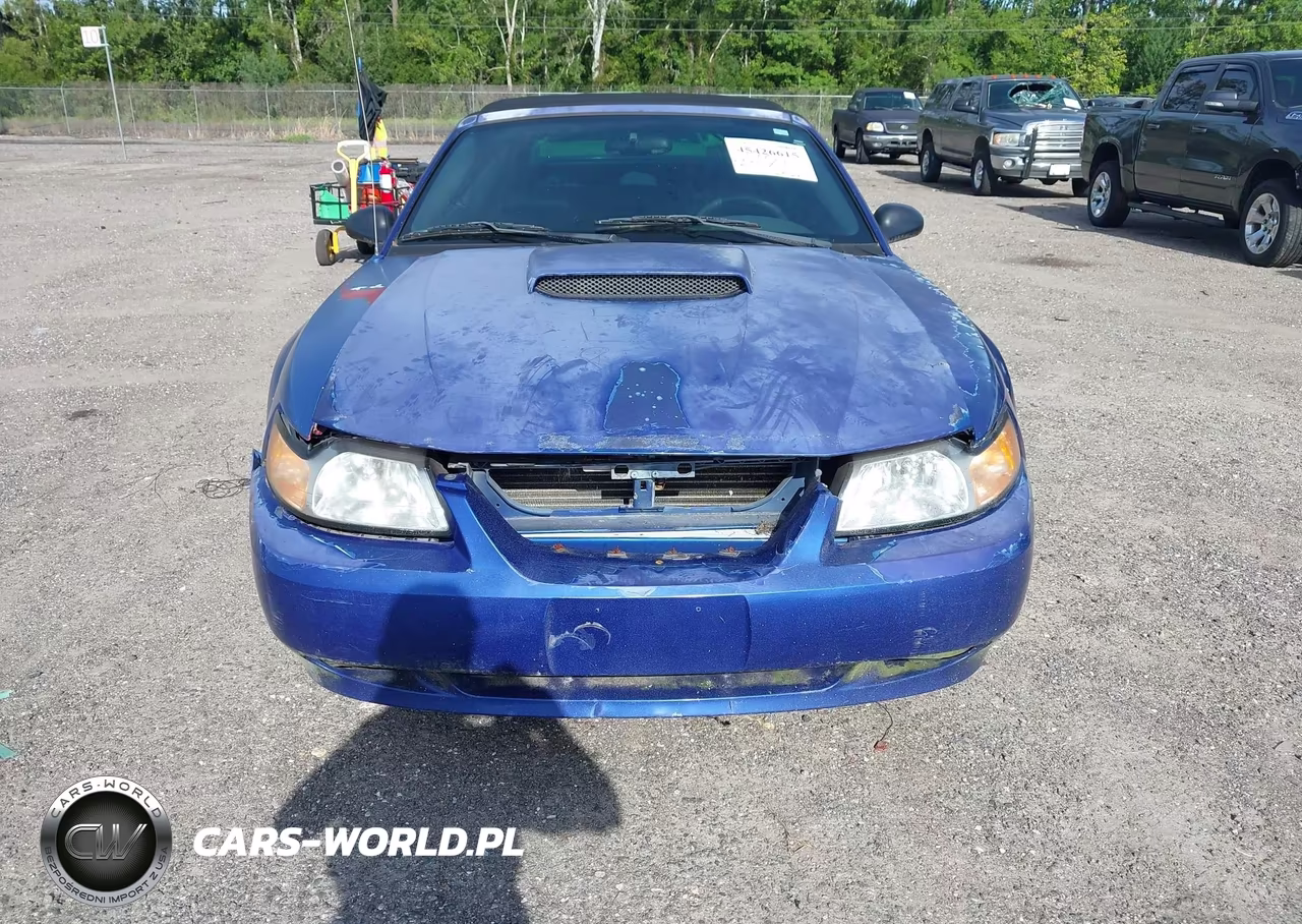 2004 Ford Mustang Gt VIN:1FAFP45X24F124976 - 6