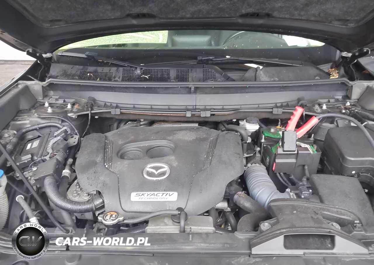 2019 Mazda Cx-9 Touring VIN:JM3TCBCY3K0309909 - 10