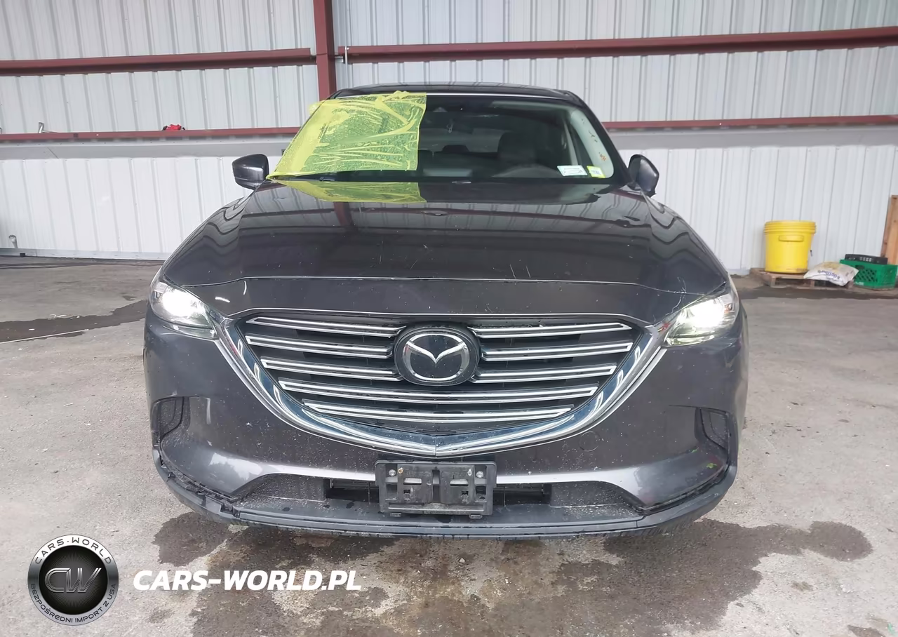 2019 Mazda Cx-9 Touring VIN:JM3TCBCY3K0309909 - 12