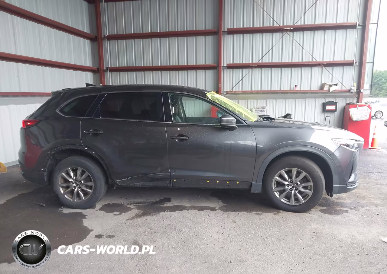 2019 Mazda Cx-9 Touring VIN:JM3TCBCY3K0309909 - 13