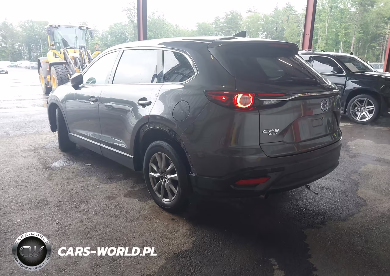 2019 Mazda Cx-9 Touring VIN:JM3TCBCY3K0309909 - 3