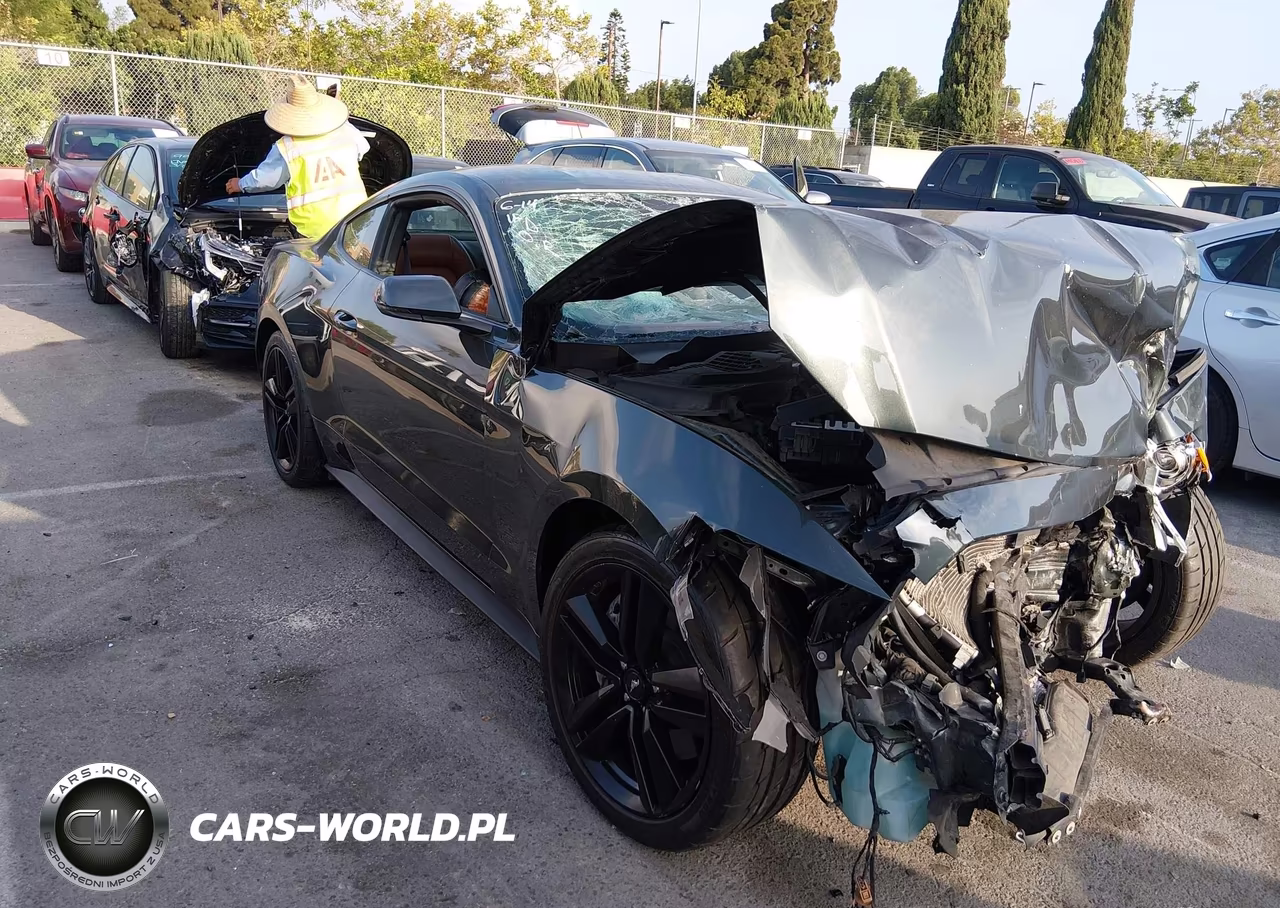 2015 Ford Mustang Ecoboost – zdjęcie 1 z 17