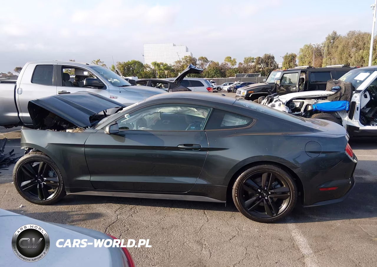 2015 Ford Mustang Ecoboost VIN:1FA6P8TH1F5387181 - 15