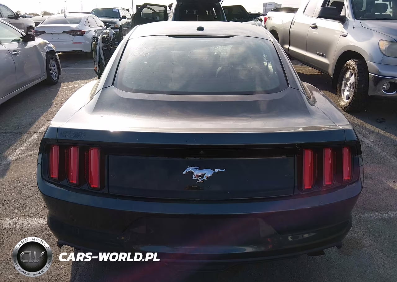 2015 Ford Mustang Ecoboost VIN:1FA6P8TH1F5387181 - 17