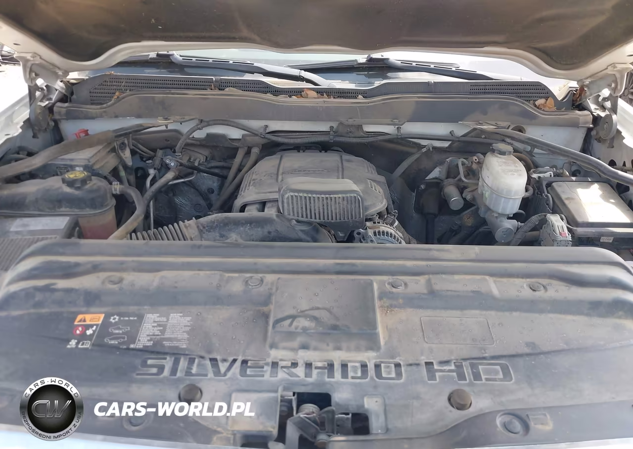2019 Chevrolet Silverado 2500Hd Wt VIN:2GC2KREG2K1193580 - 10