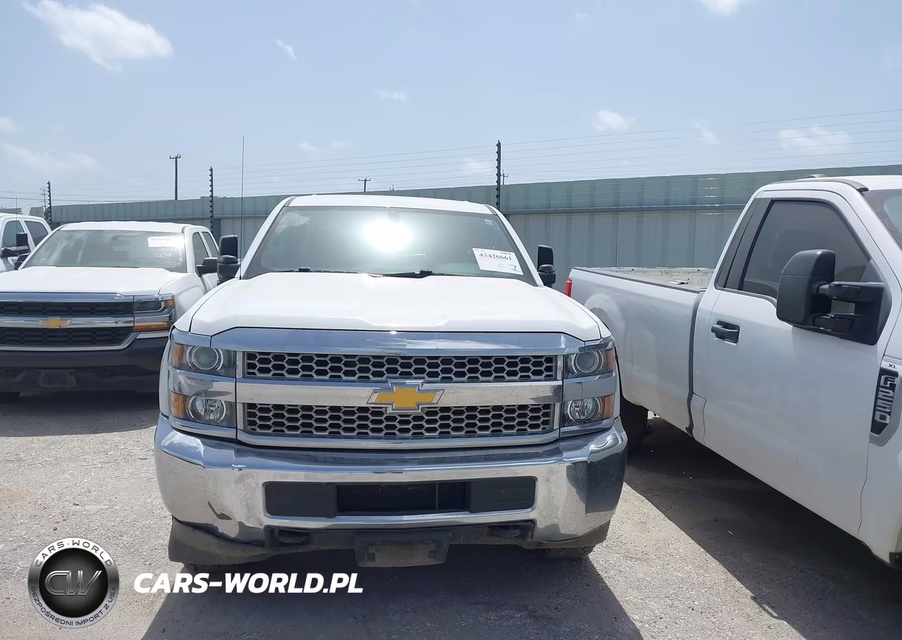 2019 Chevrolet Silverado 2500Hd Wt VIN:2GC2KREG2K1193580 - 12