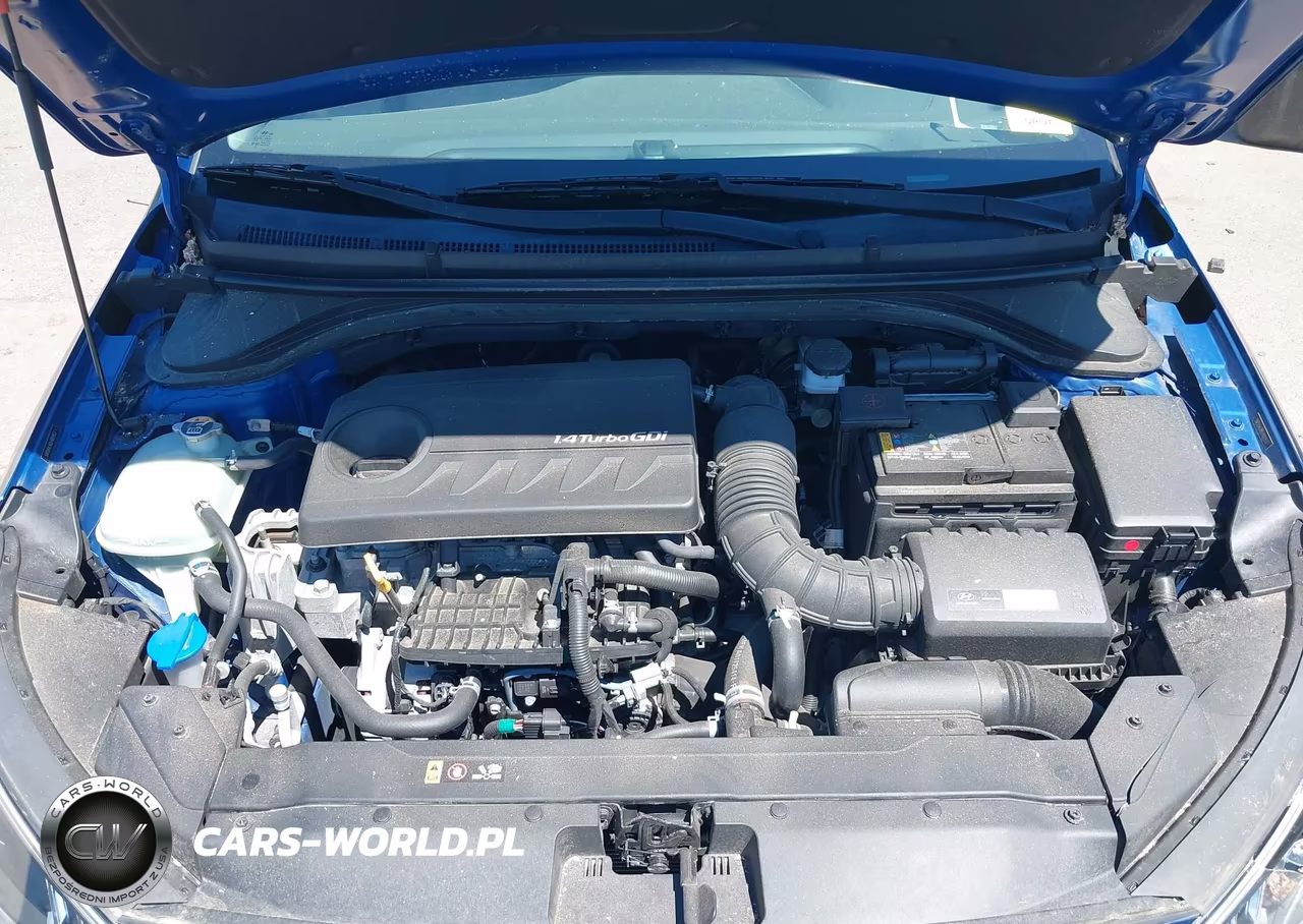 2020 Hyundai Elantra Eco VIN:5NPD94LA0LH601953 - 10
