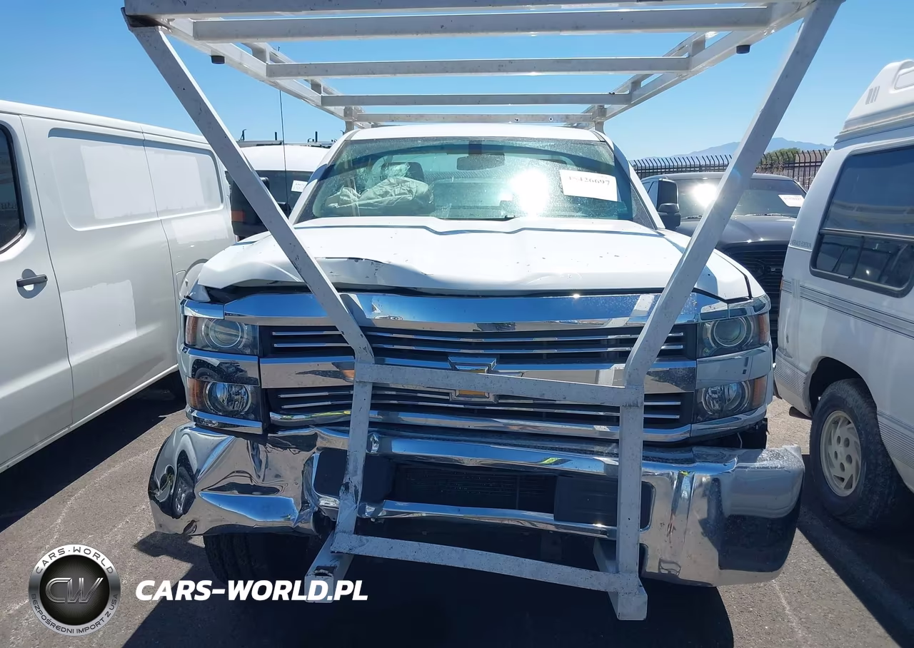 2016 Chevrolet Silverado 3500Hd Wt VIN:1GB3CYCG9GZ304790 - 12