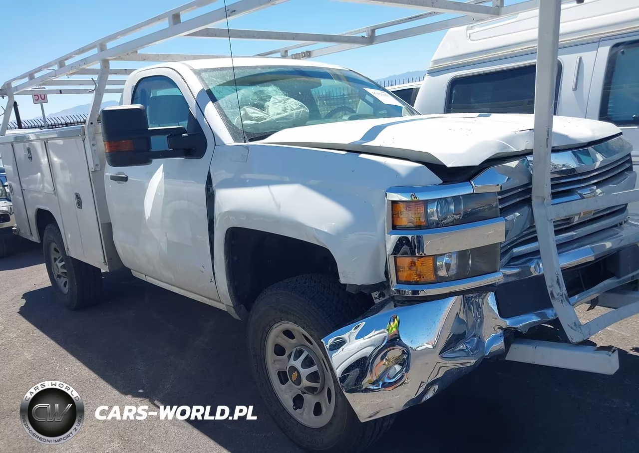 2016 Chevrolet Silverado 3500Hd Wt VIN:1GB3CYCG9GZ304790 - 16
