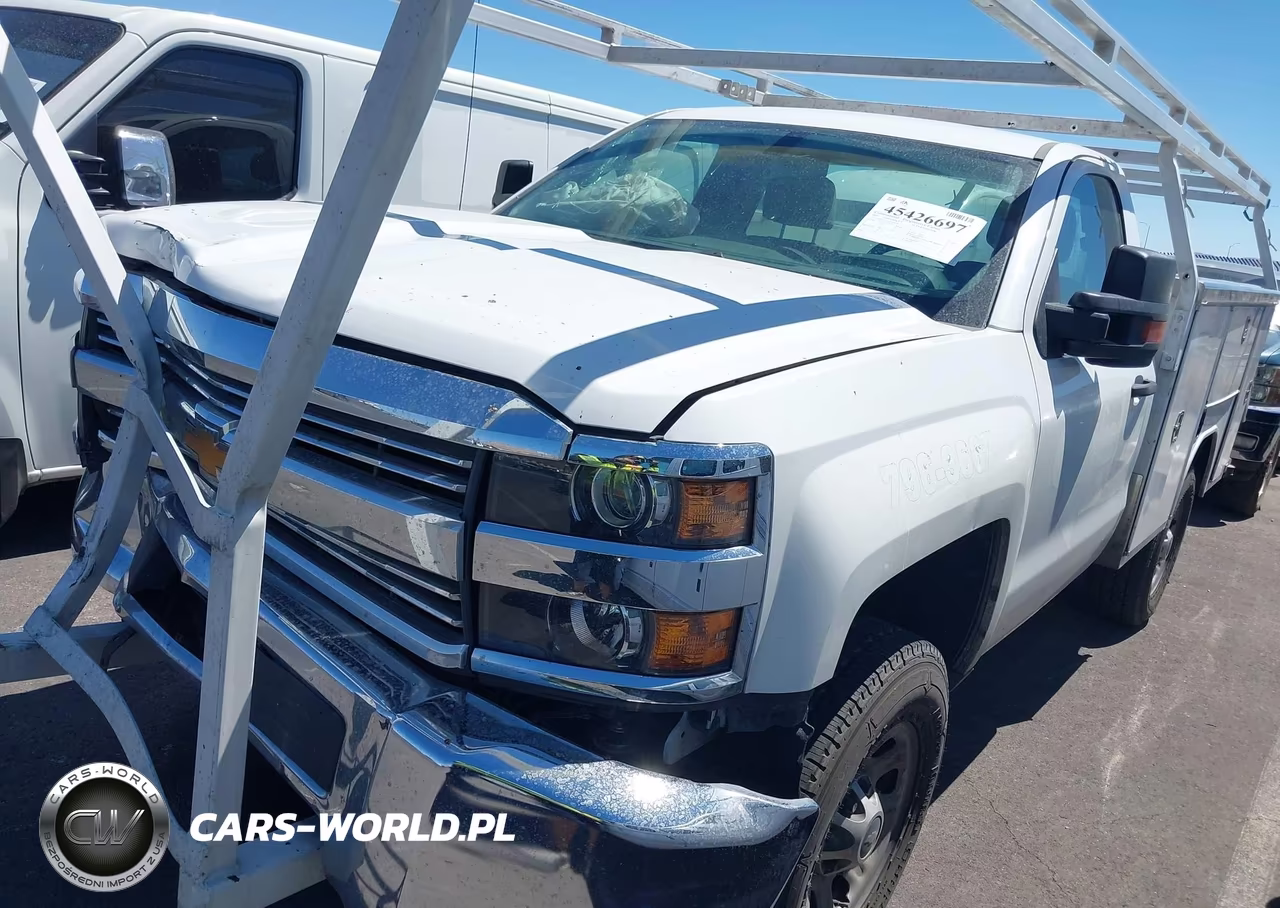 2016 Chevrolet Silverado 3500Hd Wt VIN:1GB3CYCG9GZ304790 - 17