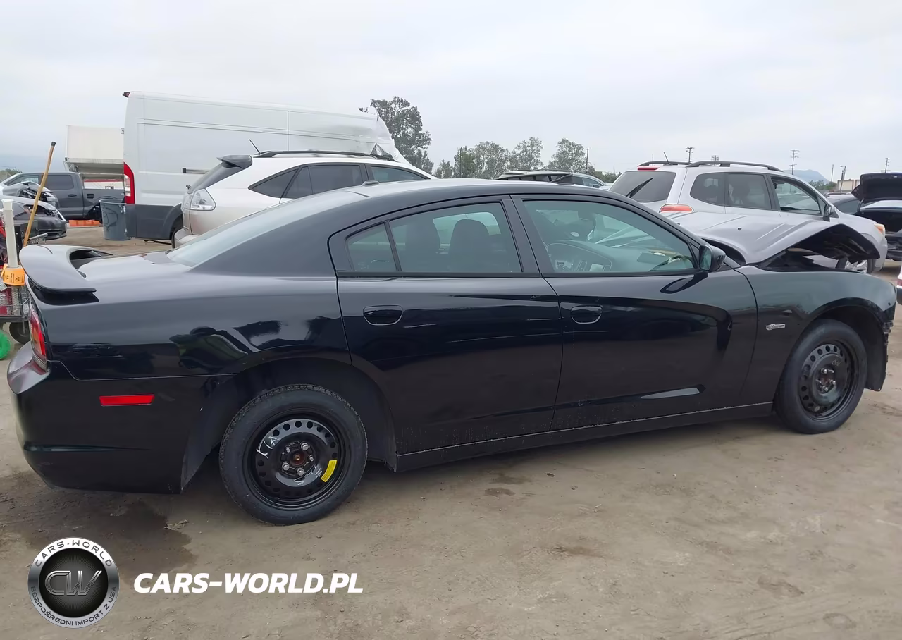 2014 Dodge Charger Sxt 100Th Anniversary VIN:2C3CDXHGXEH303290 - 14