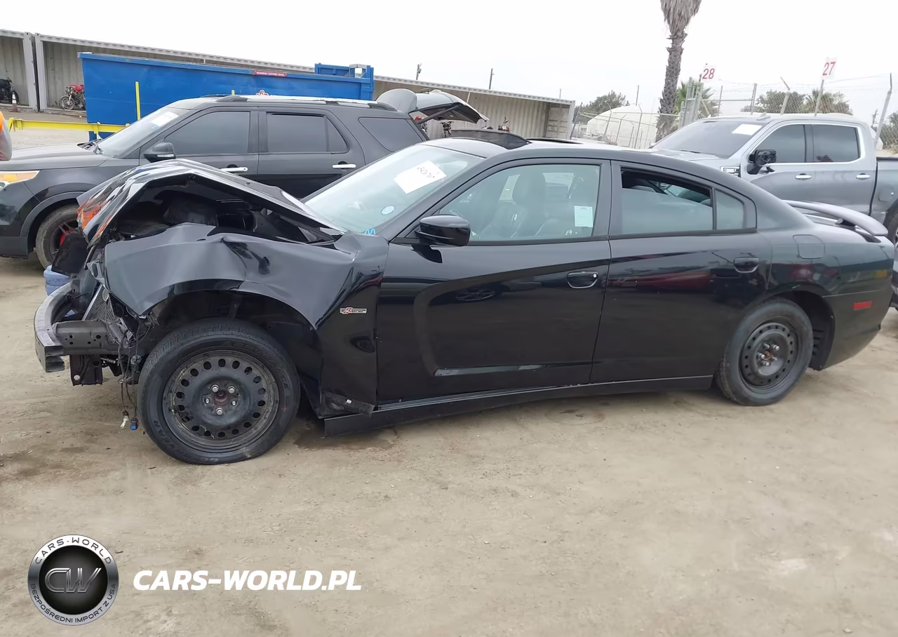 2014 Dodge Charger Sxt 100Th Anniversary VIN:2C3CDXHGXEH303290 - 15