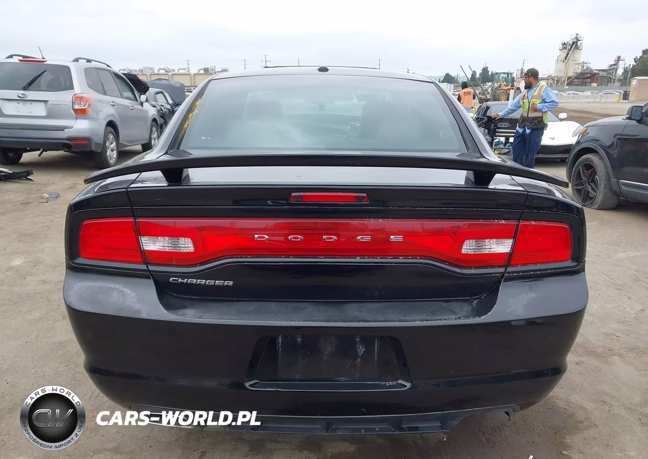 2014 Dodge Charger Sxt 100Th Anniversary VIN:2C3CDXHGXEH303290 - 17