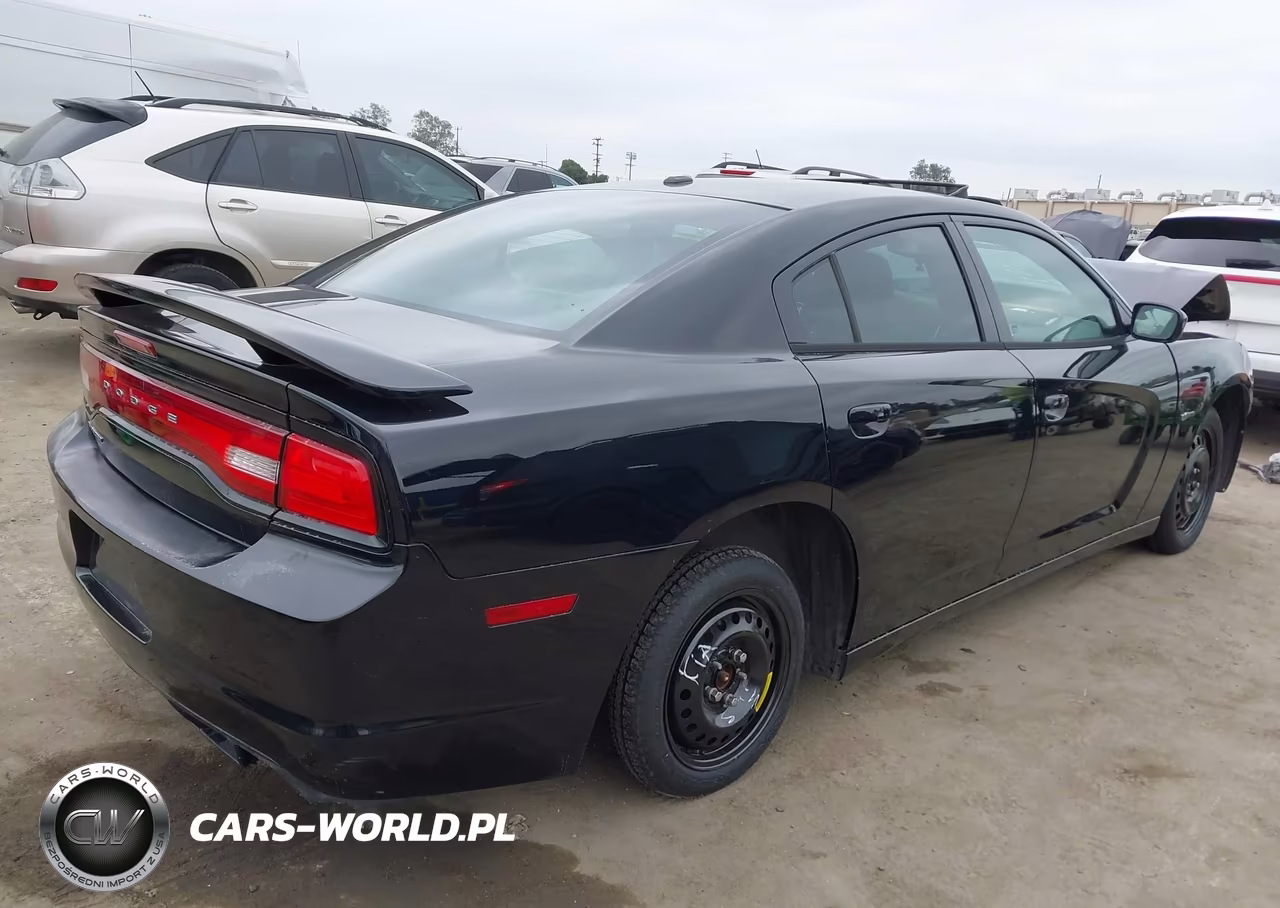 2014 Dodge Charger Sxt 100Th Anniversary VIN:2C3CDXHGXEH303290 - 4