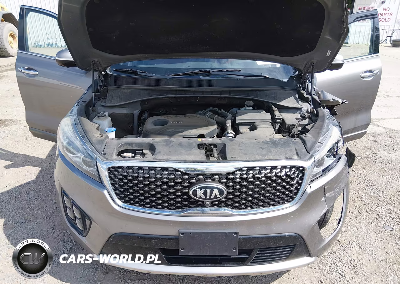 2016 Kia Sorento 2.0T Sxl VIN:5XYPKDA16GG005828 - 10