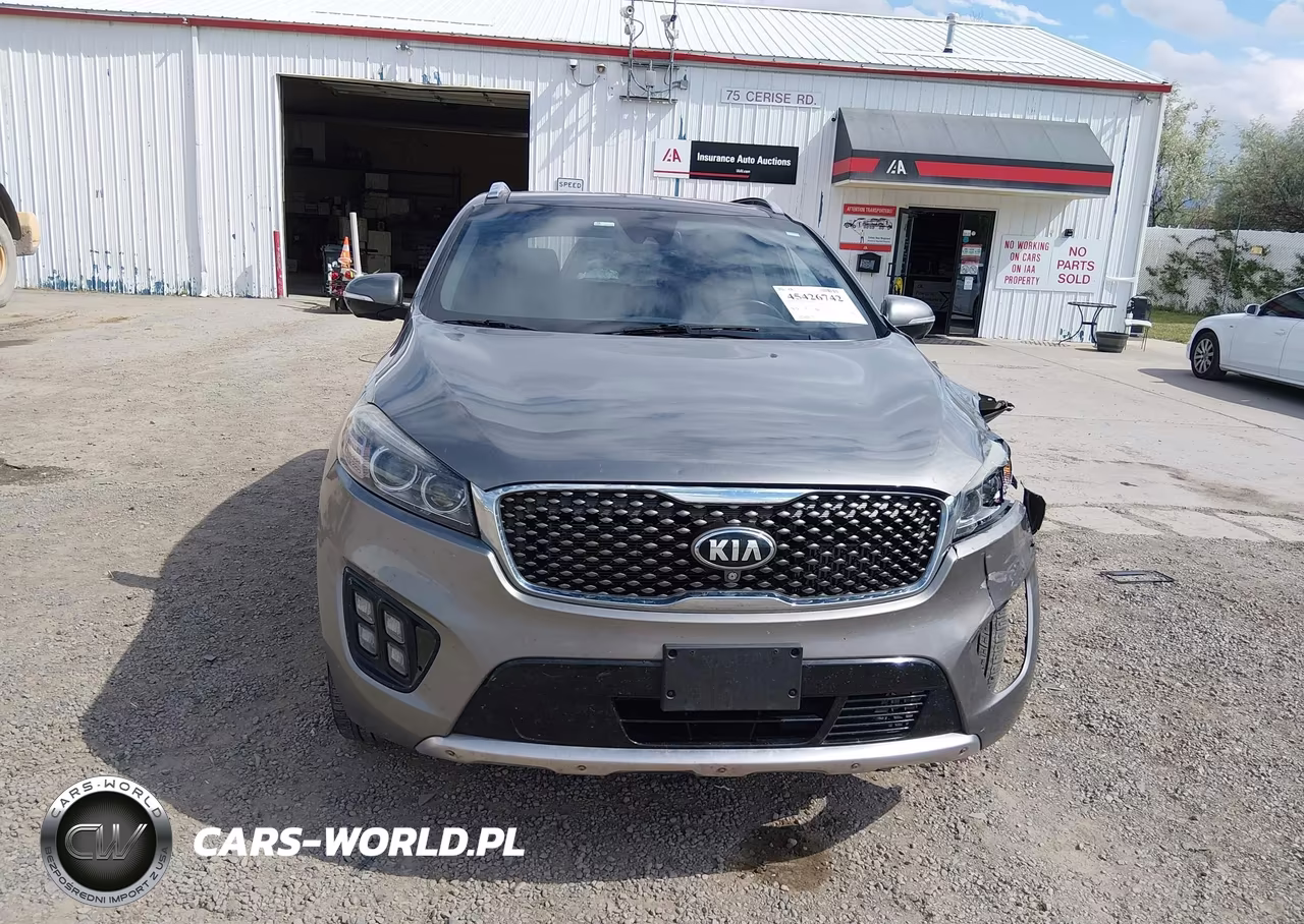 2016 Kia Sorento 2.0T Sxl VIN:5XYPKDA16GG005828 - 12